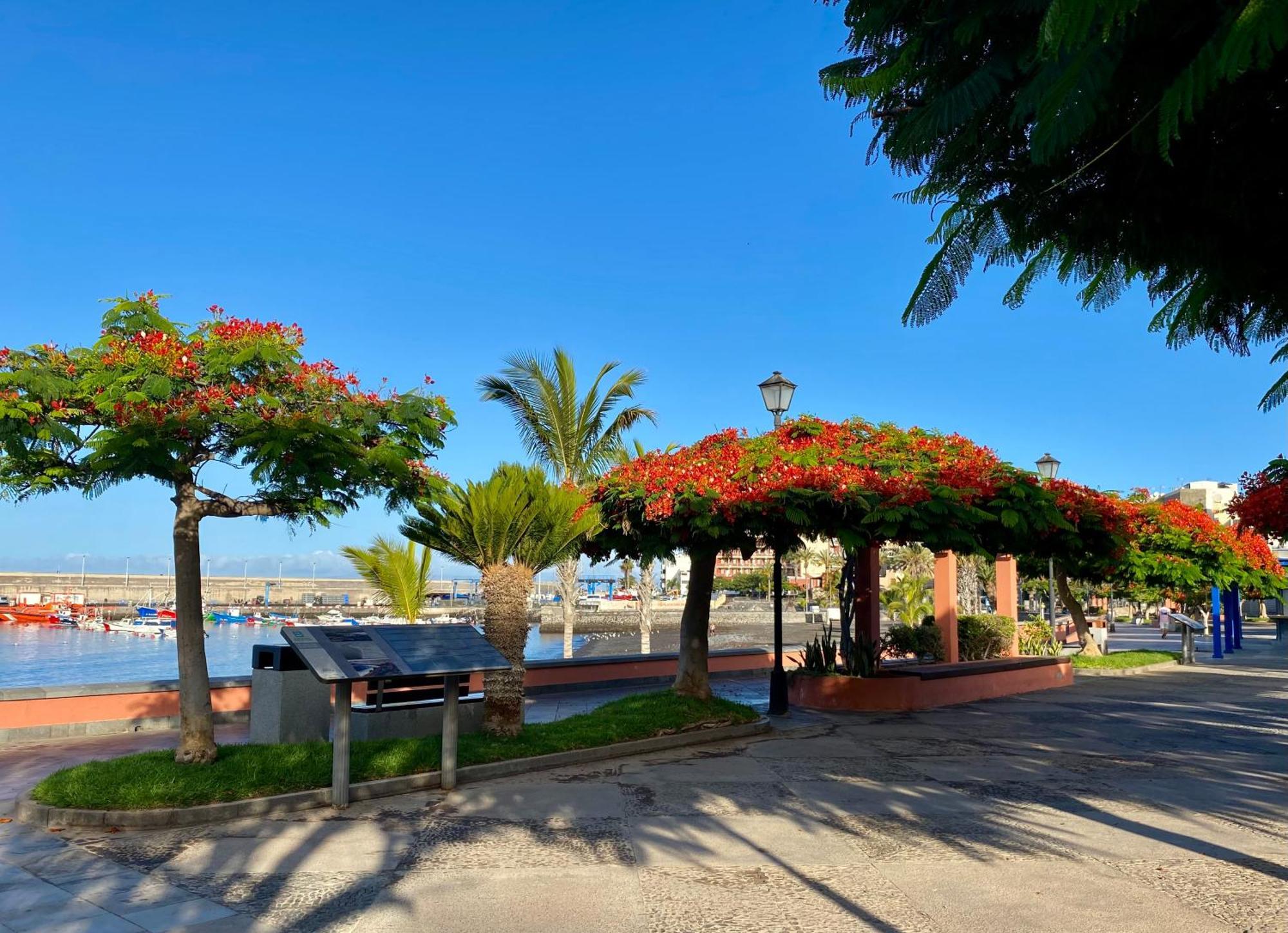 Casa Antonio - Apartamento Luna Playa San Juan Exterior foto